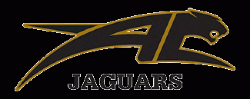 Andover Central Jaguars Logo