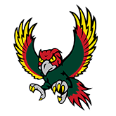 Free State Firebirds Logo