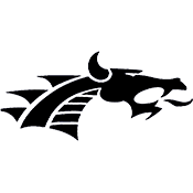 Valley Falls Dragons Logo