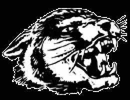 Burlington High School Wildcats