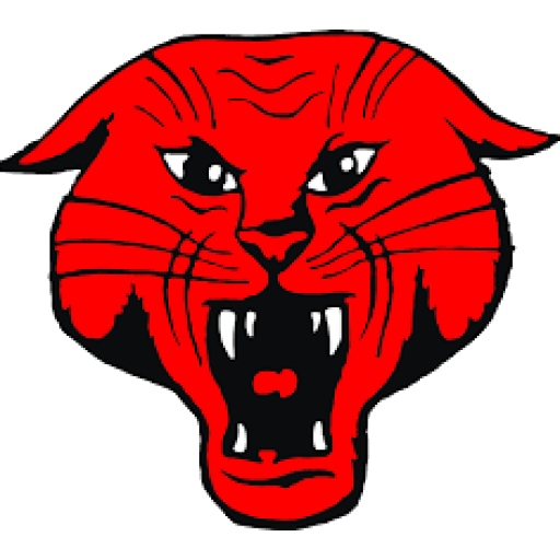 Bearcats logo