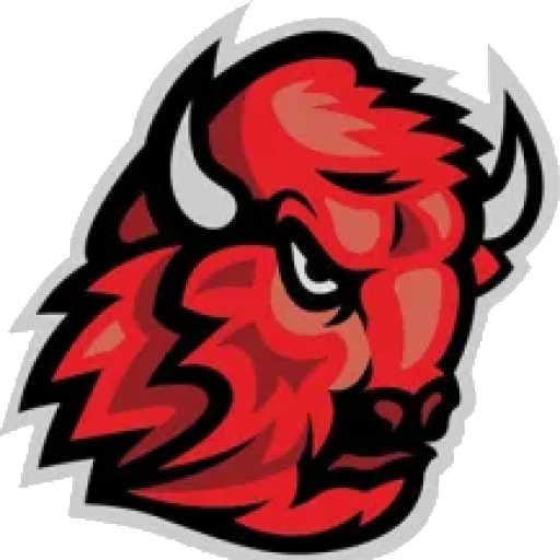 Shawnee Mission North High School Bison